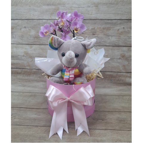 Kit Maternidade Menina com Mini Orquídea 2 Hastes Pote 9 - Cor Variada + Pelúcia
